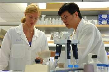 Two doctors in a research lab